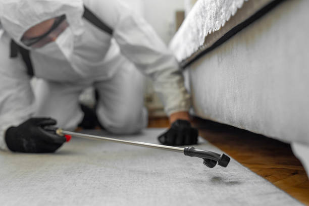 Professional Pest Control technician working in Montgomery County County, TX